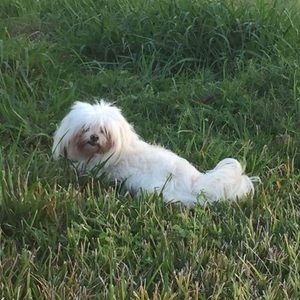 Meet your Posher, Rene